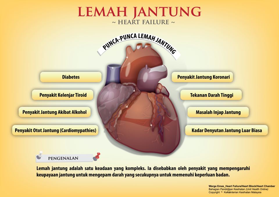 Obat Penyakit Jantung Tradisional